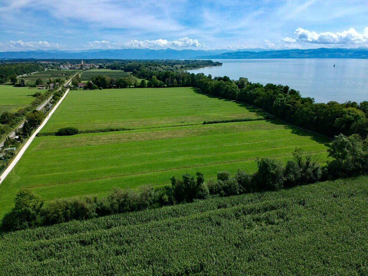 Wohlfuehlloft Seekretzer Mit Privatem Seezugang FDH Exteriér fotografie