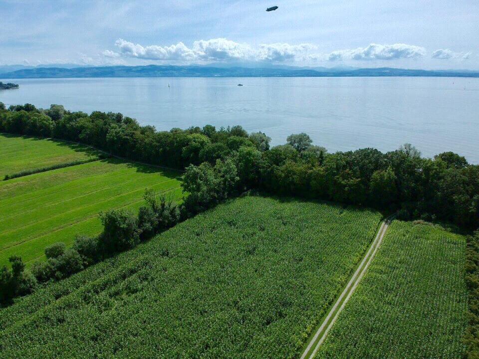 Wohlfuehlloft Seekretzer Mit Privatem Seezugang FDH Exteriér fotografie